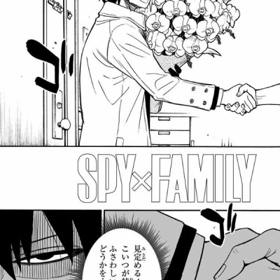 SPY x FAMILY 3 (ジャンプコミックス)