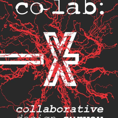 CO LAB: Collaborative Design Survey