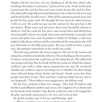 A Portrait Of The Artist As A Young Man