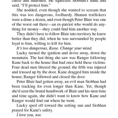 Lucy Kincaid Novels 17: Cold As Ice