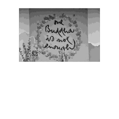 One Buddha Is Not Enough: A Story Of Collective Awakening