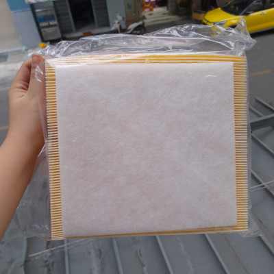 Lọc Gió Động Cơ BOSCH A3038| Dành Cho TOYOTA Camry 3.5(11-17); MITSUBISHI Triton 2.4 (15-); LUXUS RX350 3.5 (08-19)..vv