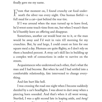 The Travelling Cat Chronicles