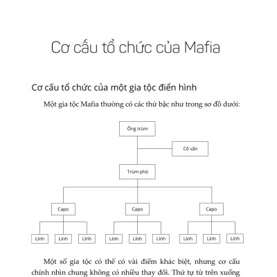 Luật Bố Già (Tái Bản 2022)