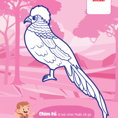 Con Tô màu - Thám Hiểm Rừng Nhiệt Đới _MEGA