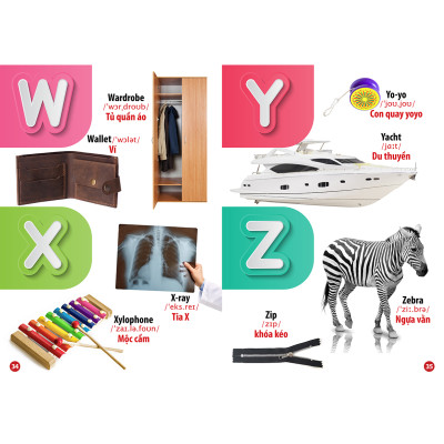 Combo 4 Cuốn: Thế Giới Khủng Long - Thế Giới Loài Chim - Chữ Cái Và Số Đếm - Hoa Rau Củ Quả 