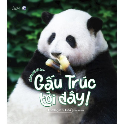 Sách Tranh - Gấu Trúc Tới Đây! - Amak