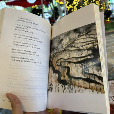 (In màu) HỖN ĐỘN VÀ KHU VƯỜN - Nguyễn V.ĩnh T.iến - Nhã Nam - NXB Hội nhà văn