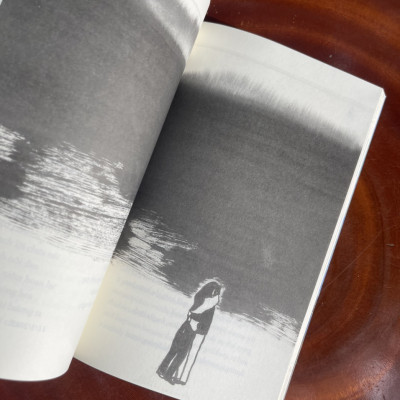 SHADOWS OF MY MIND – BÓNG CỦA Ý NGHĨ – thơ song ngữ Việt – Anh – Nguyễn Bảo Chân – NXB Thế Giới