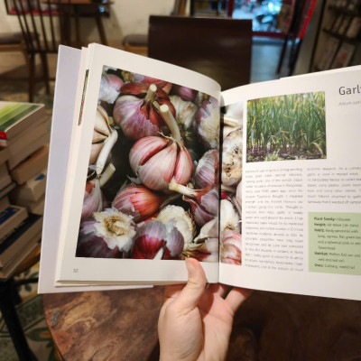 Sách - Guide to Herb With Journal by Jenny Linford - Sách tiếng Anh/ English Book - Sách về thảo Mộc - Medicine
