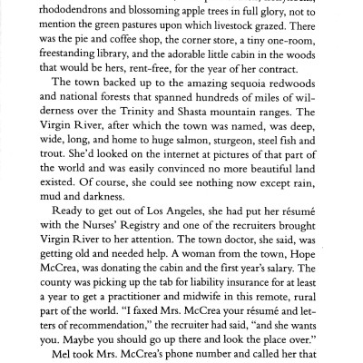 Virgin River Movie Tie-In (The Virgin River Novel 1)