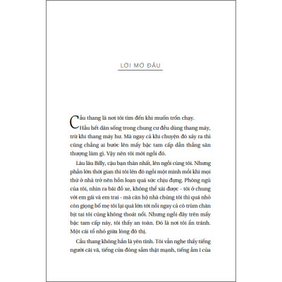 Vươn lên từ đáy: Hành trình tái hiện giấc mơ Mỹ