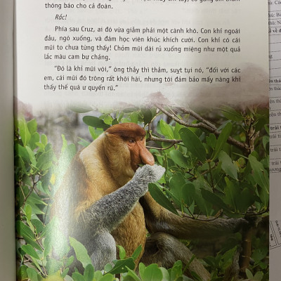  Học viện viễn thám - tập 6 Huyết Rồng