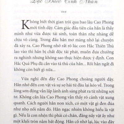 Đại Việt Truyền Kỳ Võ Hiệp - Đoạt Hồn Tam Tuyệt II