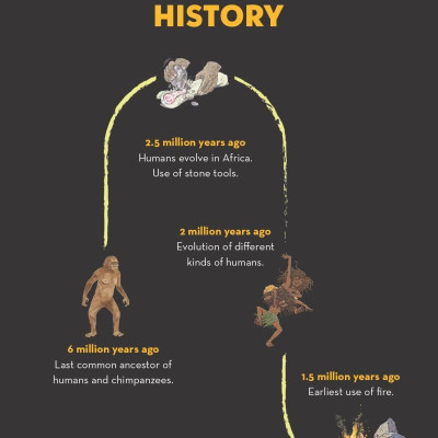 Unstoppable Us Volume 1: How Humans Took Over The World