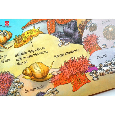 Sách Bách Khoa Tri Thức Dành Cho Trẻ Em - 4 -15 Tuổi- Đinh Tị