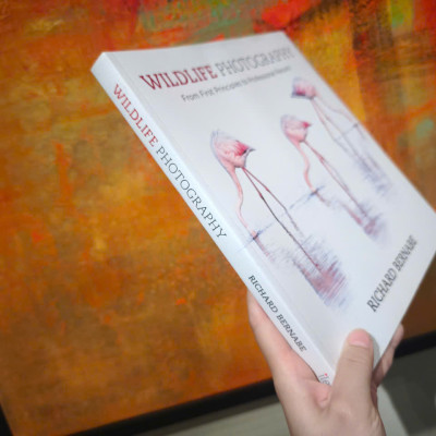 Sách - Wildlife Photography by Richard Bernabe - From First Principles To Professional Results