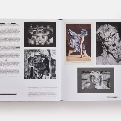 Artbook - Sách Tiếng Anh - Vitamin C+: Collage in Contemporary Art