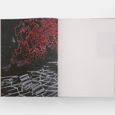 Artbook - Sách Tiếng Anh - Michael Raedecker