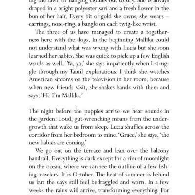 Small Days And Nights