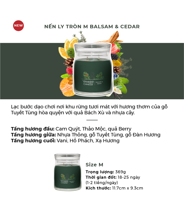 Nến ly tròn sáp đậu nành Yankee Candle size M (369g) - Balsam & Cedar