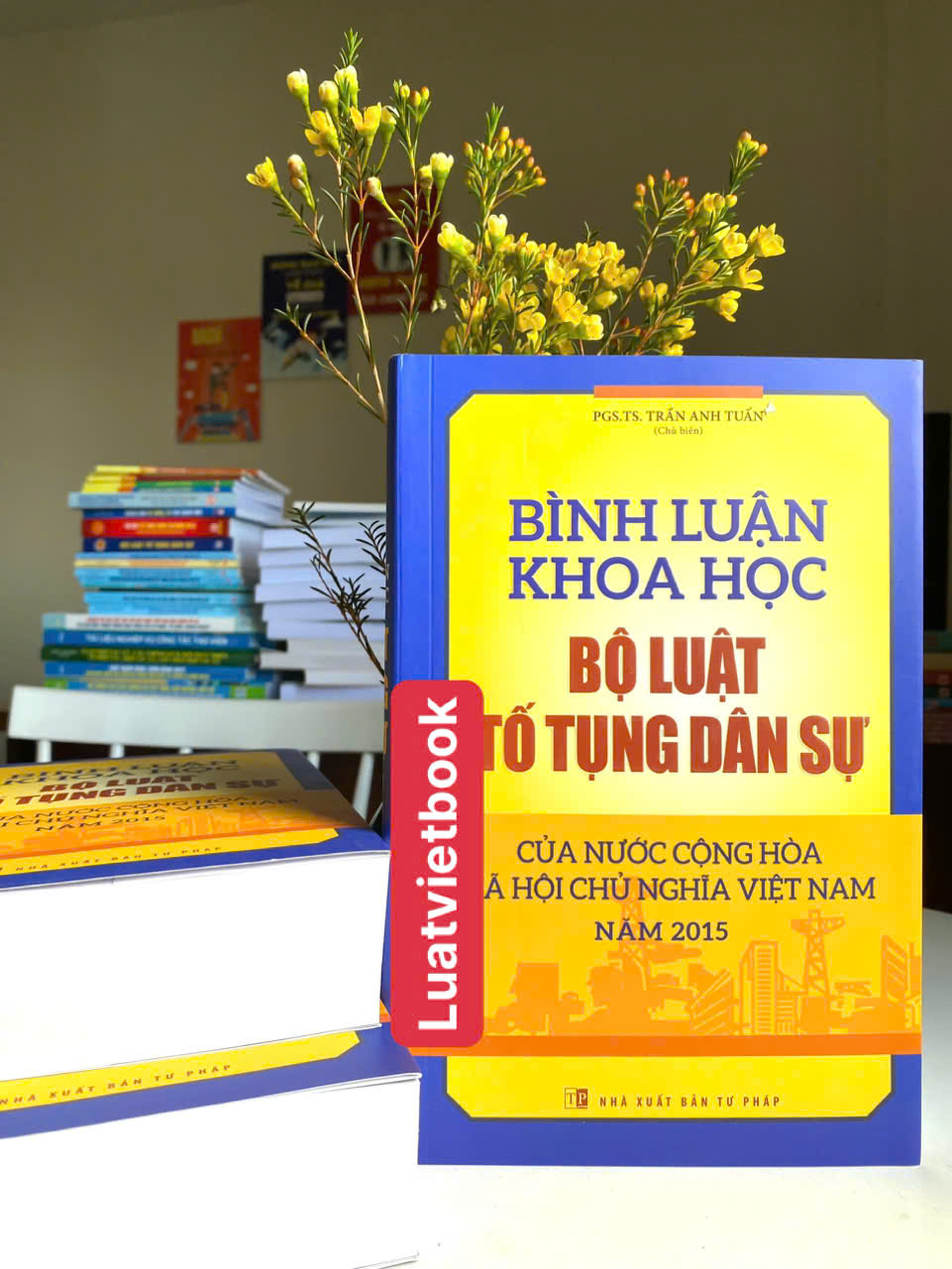 Bình Luận Khoa Học Bộ Luật Tố Tụng Dân Sự năm 2015