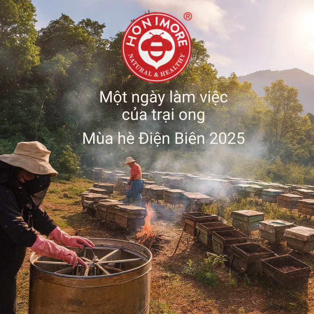 Combo Mật ong nguyên chất Hoa Miền Núi Honimore 630g/chai tặng 1 chai mật ong Hoa Vải Thiều 360g/chai - tăng sức đề kháng