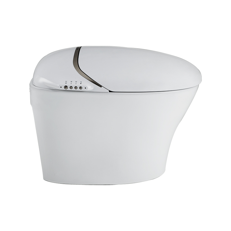 Bồn cầu thông minh cao cấp Bravat C21185W-3CM-VP