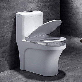 Bệt cao liền khối nhập khẩu chính hãng cao cấp GROVES R20