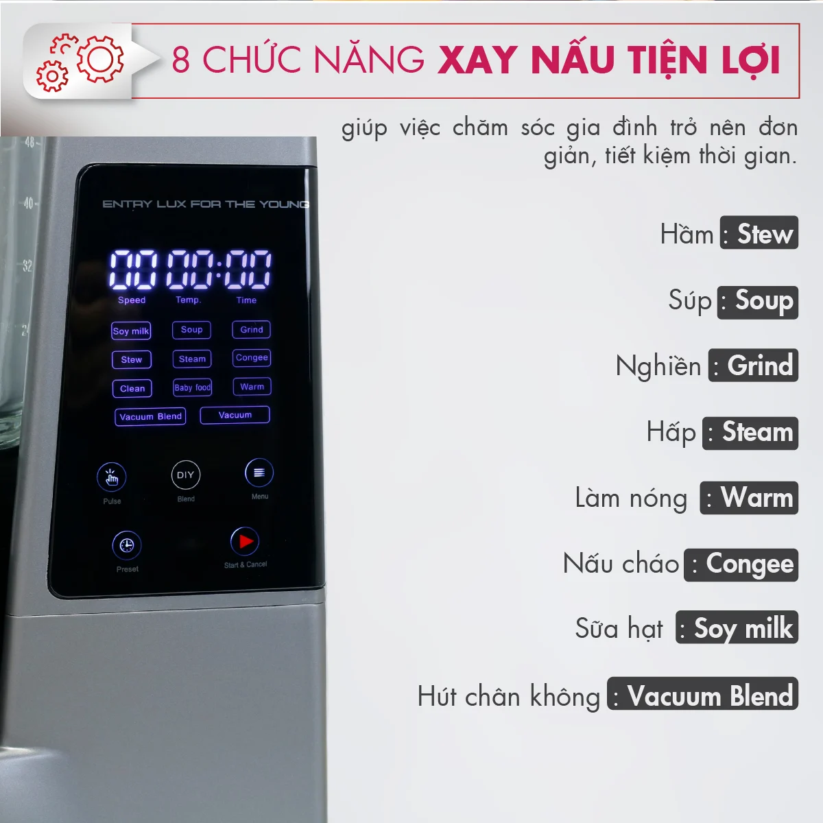 Máy xay sinh tố công suất lớn 800W Mishio - Hàng chính hãng