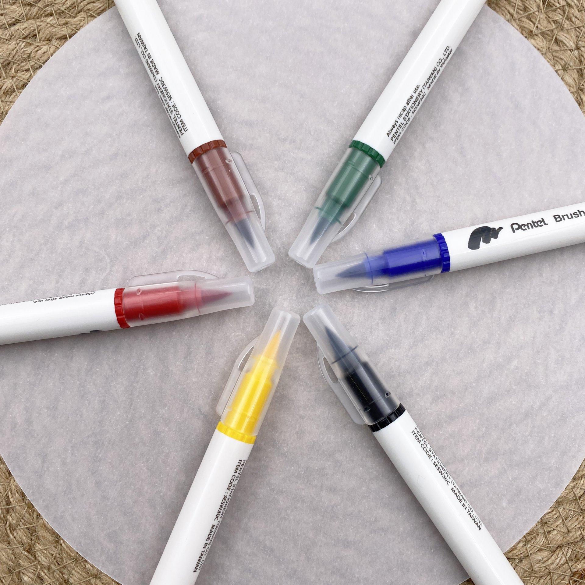 Bộ 6 Bút Lông Màu Nước 2 Đầu - Brush Sign Pen Twin - Pentel Art SESW30C-06E