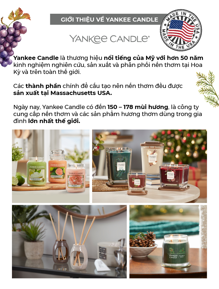 Nến ly tròn sáp đậu nành Yankee Candle size M (369g) - Balsam & Cedar