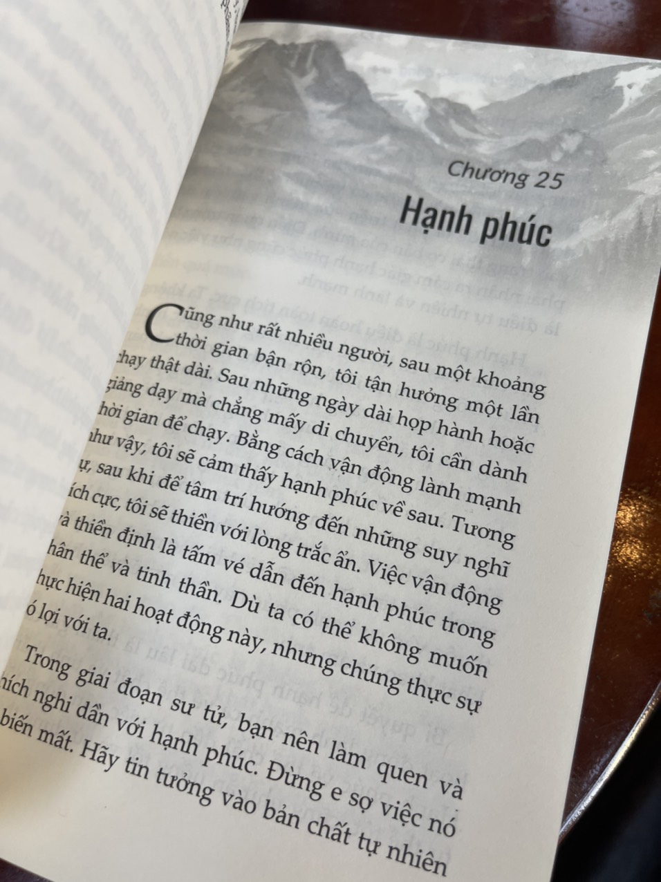 THIỀN TRONG CHUYỂN ĐỘNG - Sakyong Mipham- Lâm Đức Duy dịch – 1980 Books – Thanh Niên