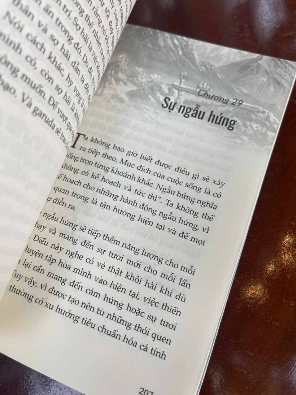 THIỀN TRONG CHUYỂN ĐỘNG - Sakyong Mipham- Lâm Đức Duy dịch – 1980 Books – Thanh Niên