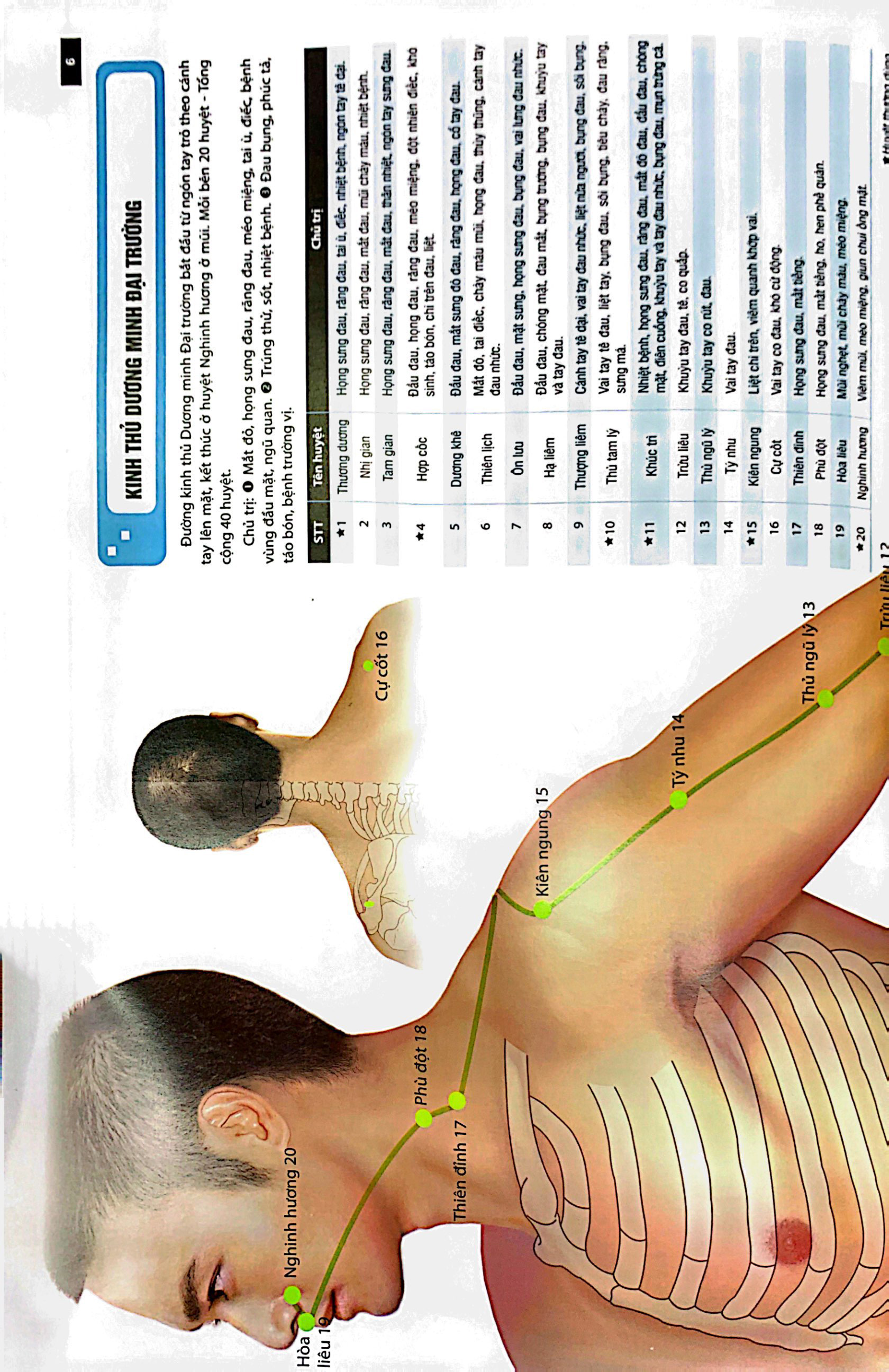Sách Đồ giải Kinh Lạc Huyệt Vị Nam giới