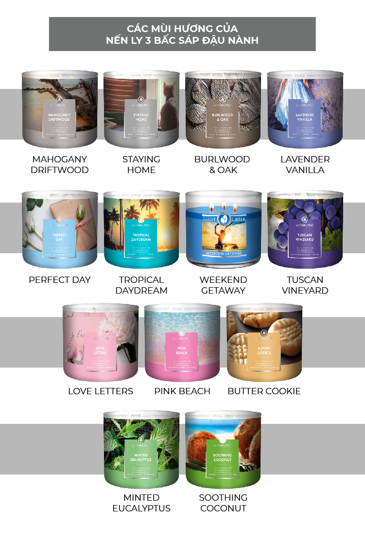 Nến ly 3 bấc sáp đậu nành Goose Creek (411g) - Minted Eucalyptus