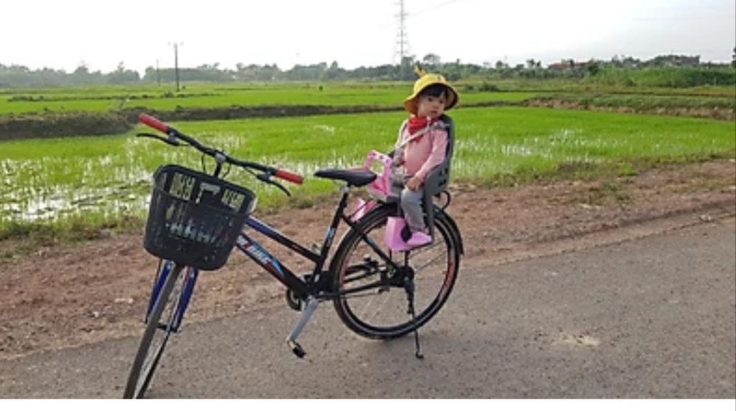 Ghế cho bé ngồi xe đạp
