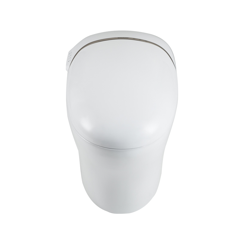 Bồn cầu thông minh cao cấp Bravat C21185W-3CM-VP