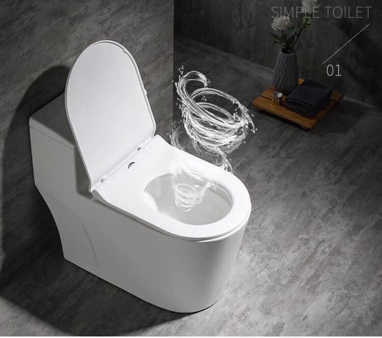 Bồn cầu 1 khối C8020