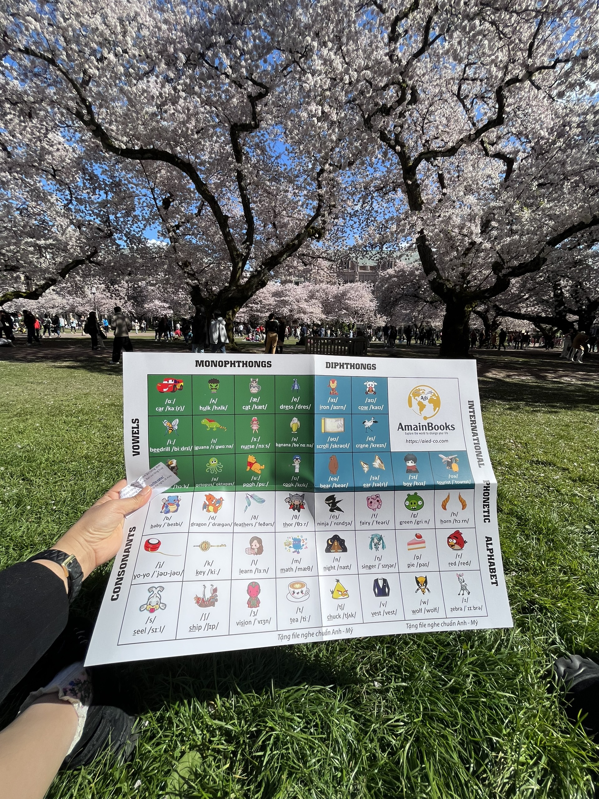 Bộ thẻ Flashcard 26 chữ cái tiếng Anh Alphabet & bảng phiên âm tiếng Anh IPA2