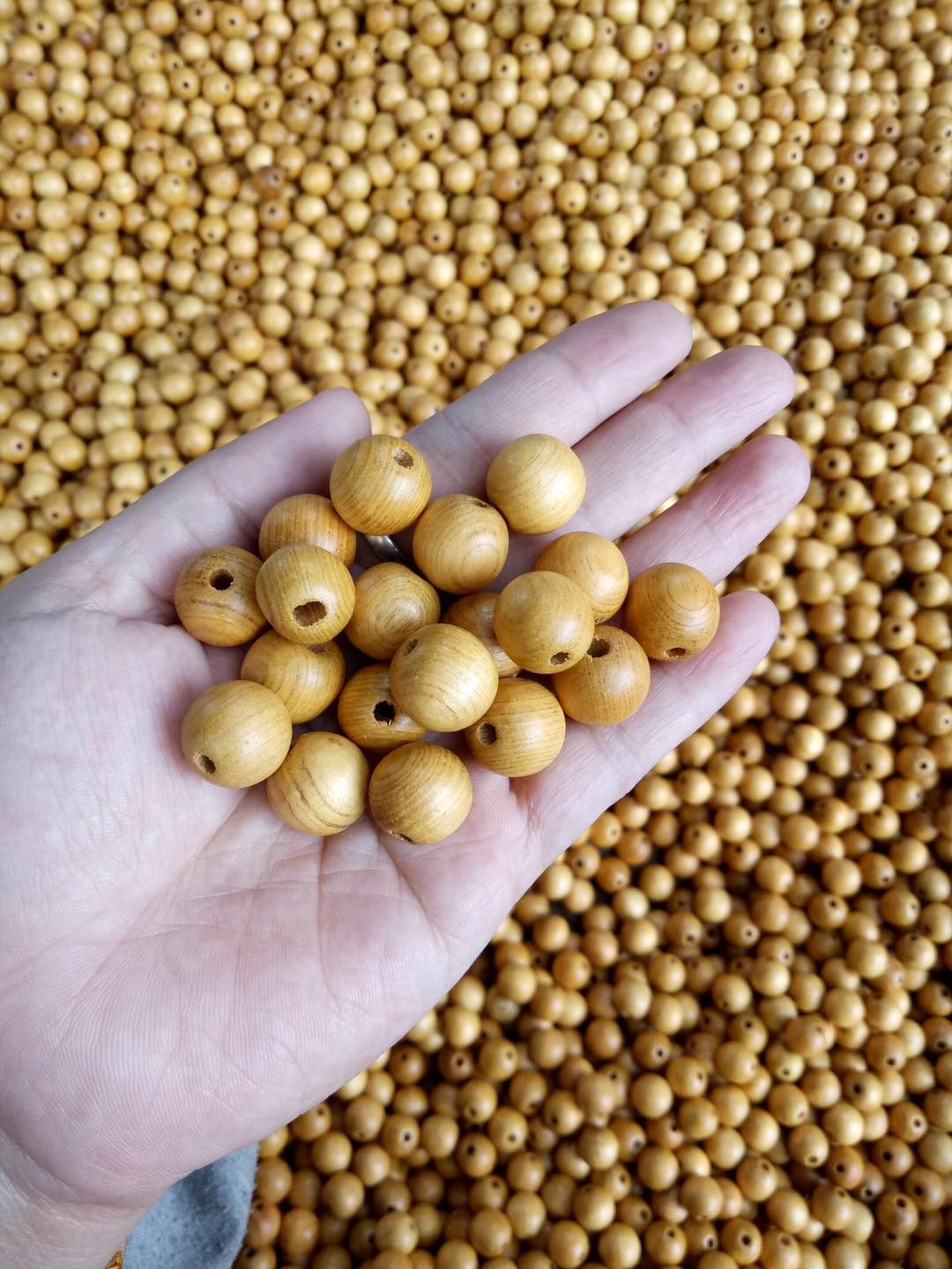 Chiếu hạt gỗ Pơ Mu hạt 1,8cm - Chiếu gỗ Mian.vn ( video , hình thật )