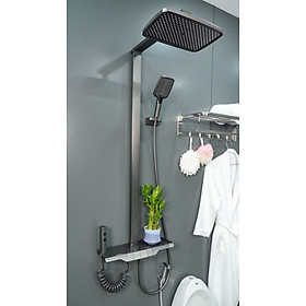 Sen cây nóng lạnh đồng mạ PVD cao cấp màu xám Juno sofa Teady SCCT-1881 3 chế độ