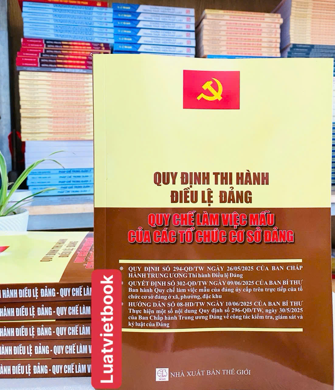Quy Định Thi Hành Điều Lệ Đảng, Quy Chế Làm Việc Mẫu Của Các Tổ Chức Cơ Sở Đảng