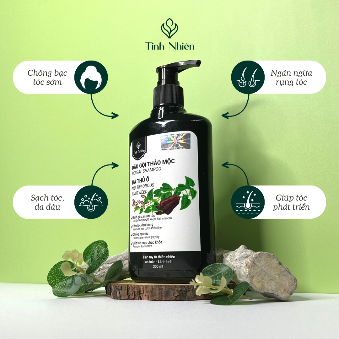 Dầu Gội Thảo Mộc Hà Thủ Ô Tinh Nhiên nuôi dưỡng tóc, chống bạc tóc sớm