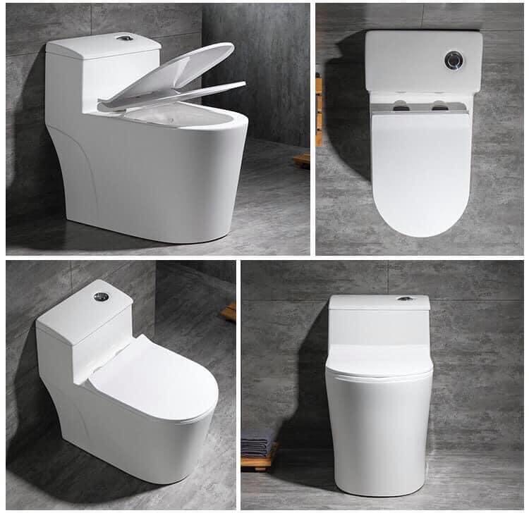 Bồn cầu 1 khối C8020