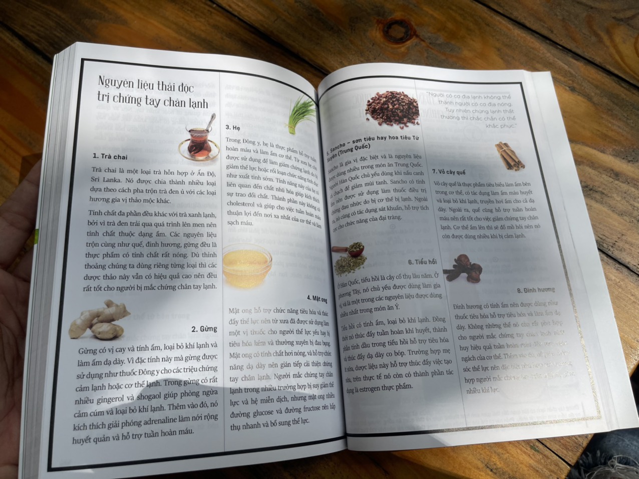 THẦN DƯỢC XANH - Ryu Seung-Sun – Nguyệt Minh dịch – Thái Hà books – NXB Công Thương