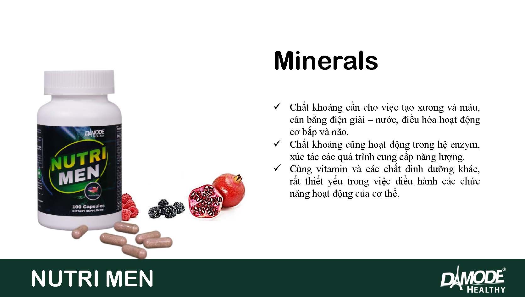 Viên uống bổ sung Vitamin khoáng chất NUTRIMEN Damode lọ 100 viên