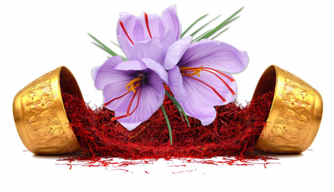 Nhụy hoa nghệ tây Tashrifat Saffron Premium Negin Iran chống lão hóa, làm sáng da,Tăng đề kháng, giảm stress, cải thiện giấc ngủ - OZ Slim Store