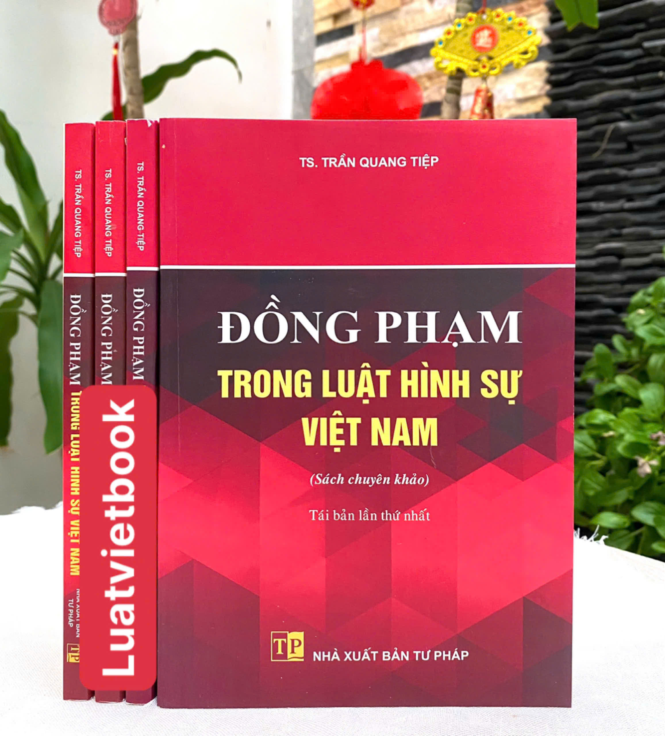 Đồng Phạm Trong Luật Hình Sự Việt Nam