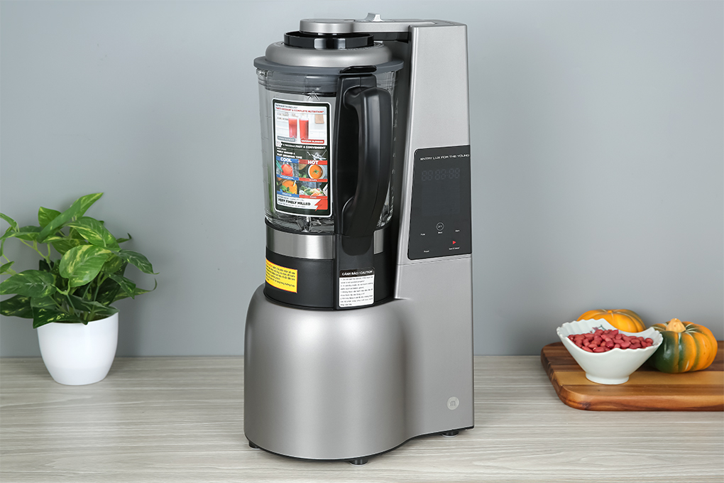 Máy xay sinh tố công suất lớn 800W Mishio - Hàng chính hãng